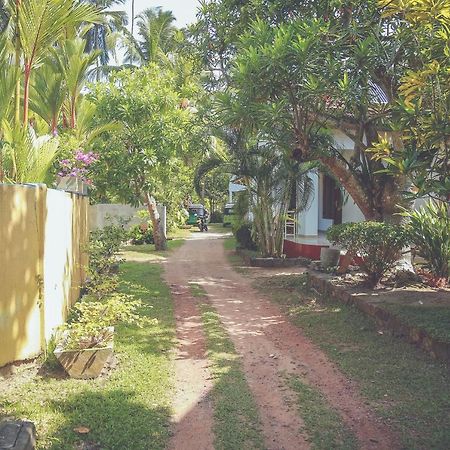 Hikka Surf Hostel Hikkaduwa Luaran gambar