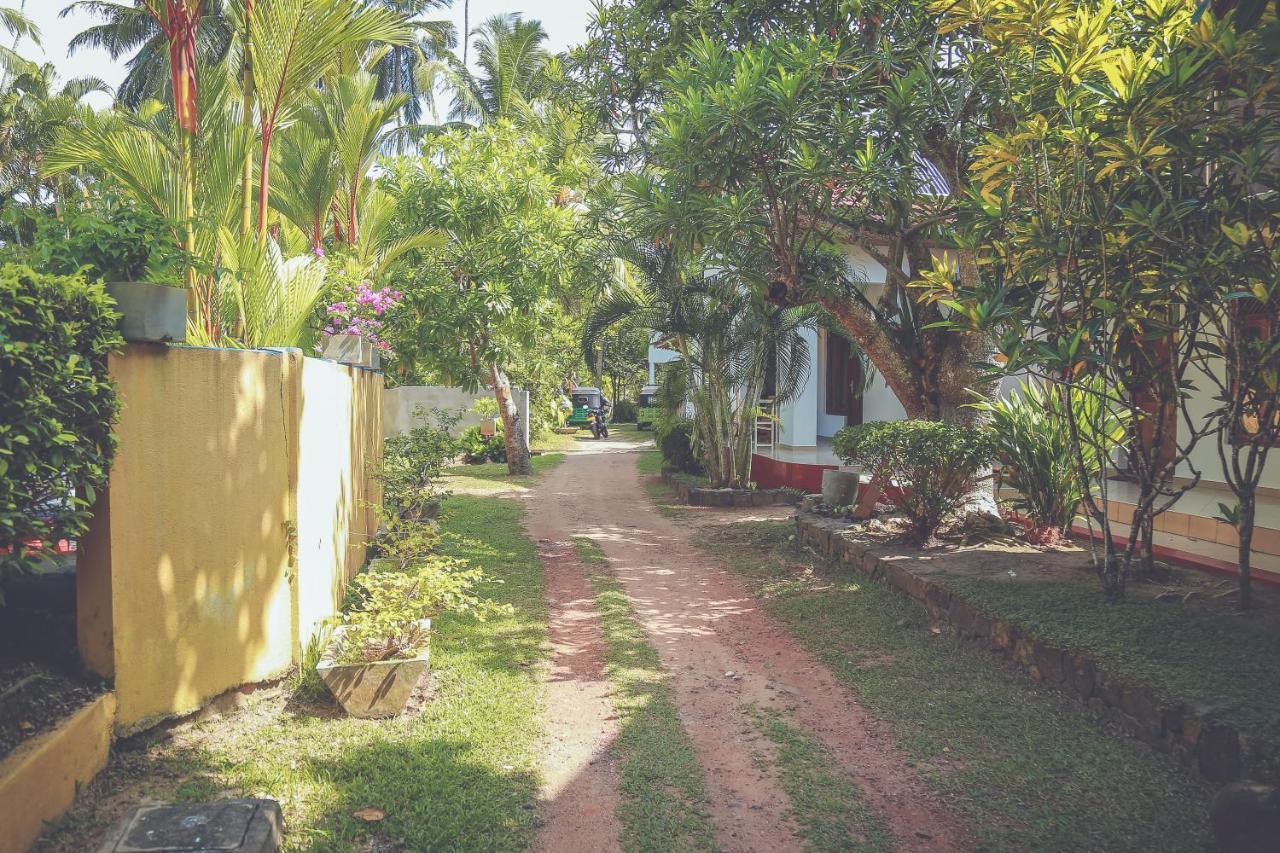 Hikka Surf Hostel Hikkaduwa Luaran gambar